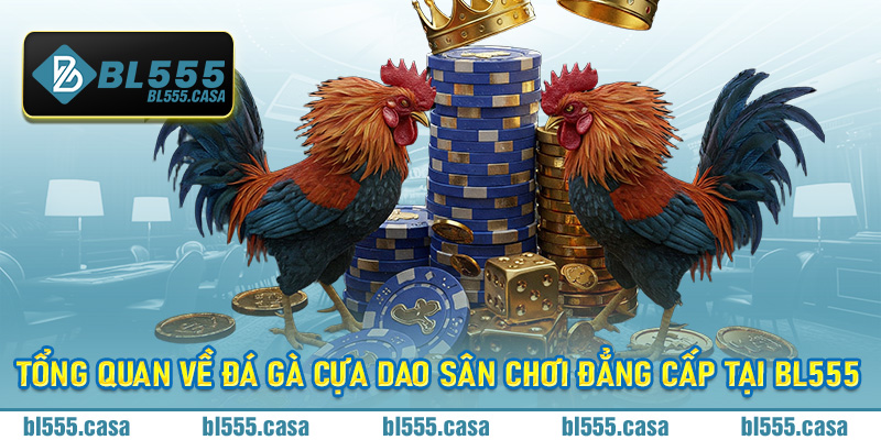 Tổng quan về đá gà cựa dao sân chơi đẳng cấp tại Bl555