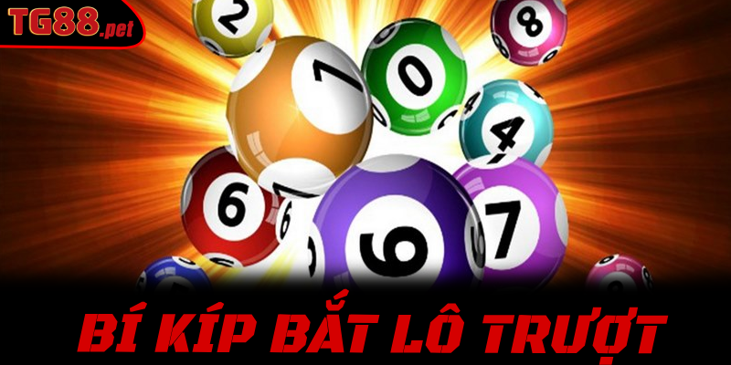 Bí Kíp Bắt Lô Trượt Bất Bại: Kinh Nghiệm Xương Máu Từ Các Cao Thủ TG88